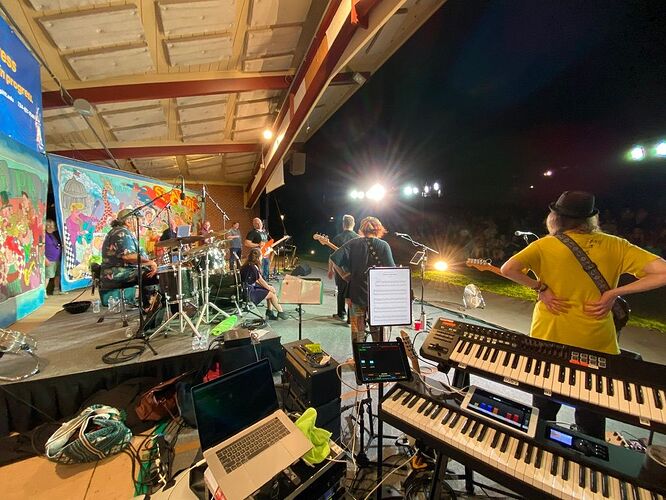 Dr-David-Jameson-Gig-Performer-in-Action